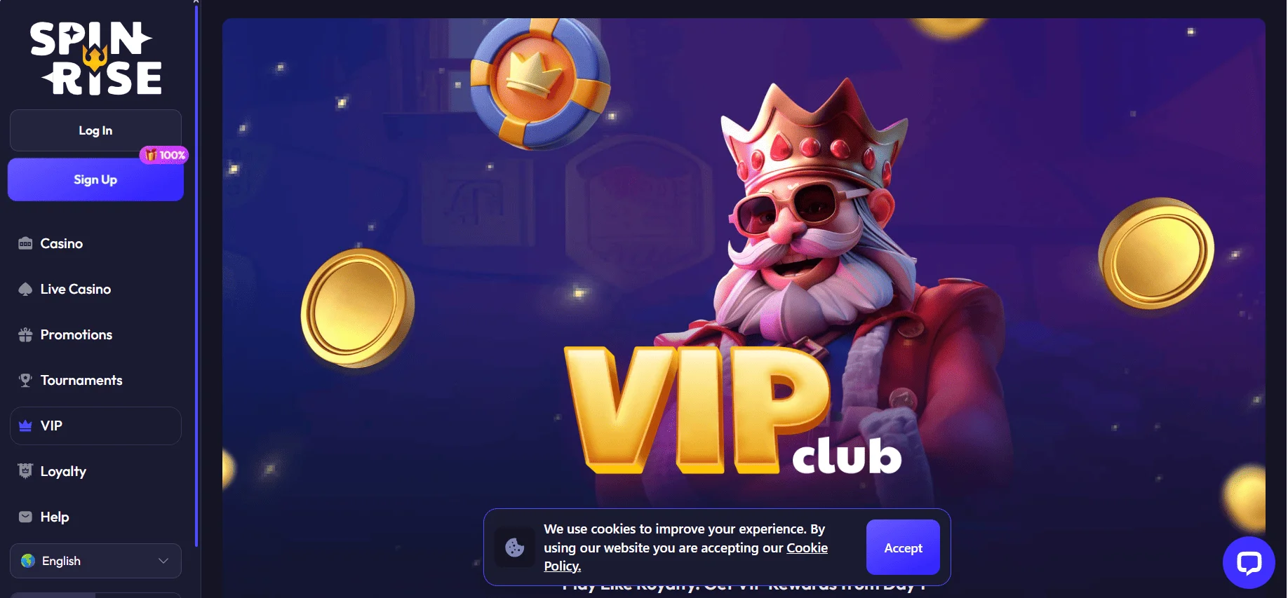 Main Types of Spinrise Casino Bonuses in 2026